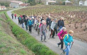 VENDREDI RANDO DOUCE NOVEMBRE 2024 - POUILLY LE MONIAL